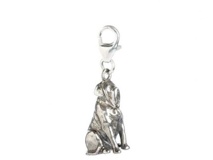 Hagrid's Dog Fang Sterling Silver Clip on Charm