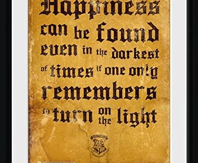HARRY POTTER Framed Print Happiness can be