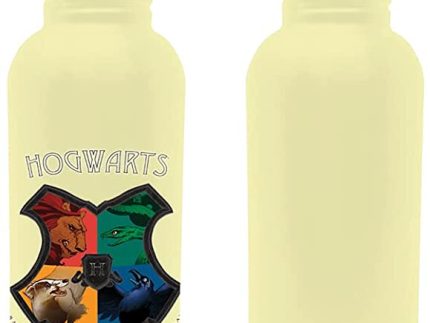 Harry Potter Hogwarts Canteen Bottle