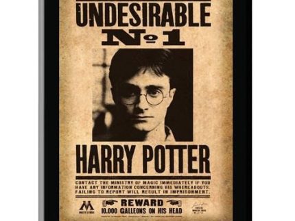 Harry Potter Undesirable Plaque