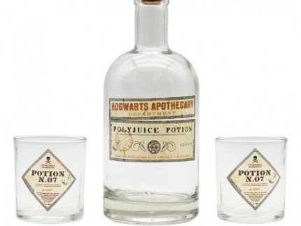 Potion Bottle and Glasses Set