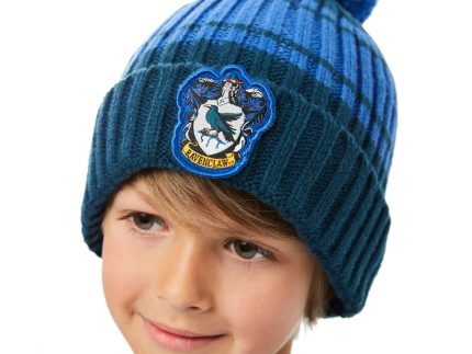 Ravenclaw Chunky Knit Beanie