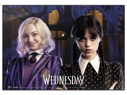 Wednesday and Enid Sinclair School Vade
